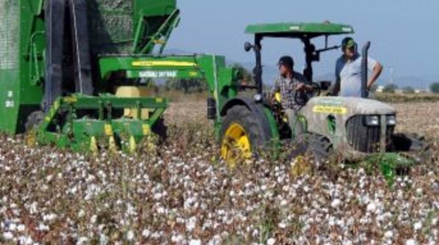 Makinalı Dayıbaşı İşbaşında