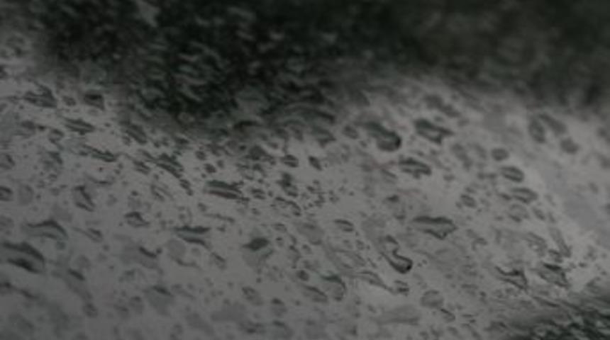 D&uuml;zce Serinledi