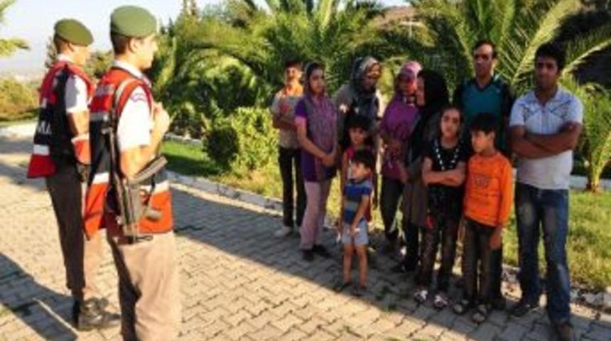 Mandalina Bah&ccedil;esinde 11 Ka&ccedil;ak Yakalandı