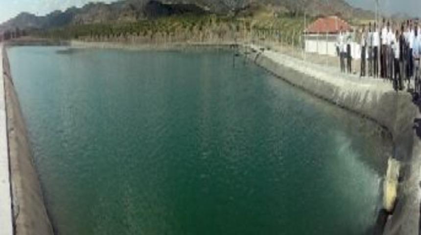 Kabalı K&ouml;y&uuml; Meyvecilik