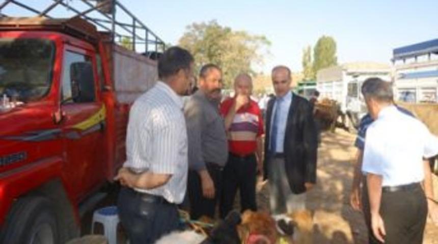 Hayvan Pazarlarına Bayram &Ouml;ncesi Denetimi