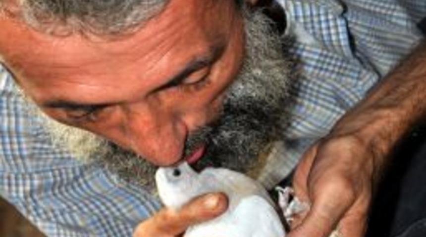 D&uuml;zceli Vatandaş, 23 Yıldır G&uuml;vercinlere G&ouml;z&uuml; Gibi Bakıyor