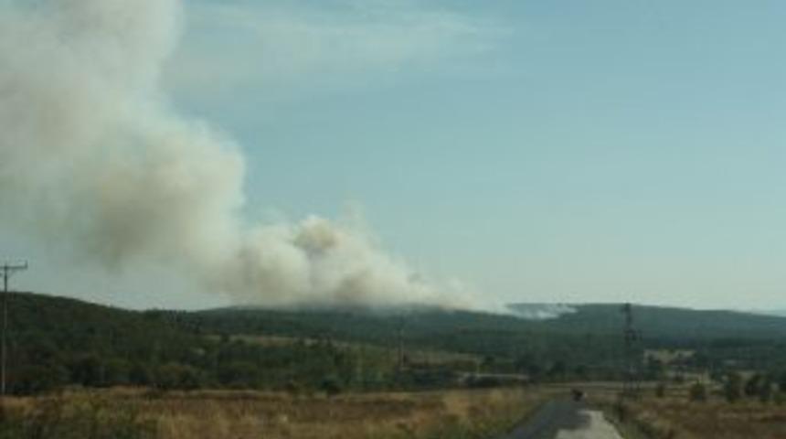 Keşan'daki Orman Yangını