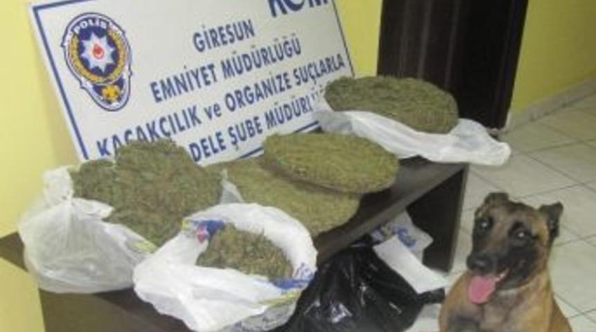 Giresun'da 3 Kilogram Uyuşturucu Ele Ge&ccedil;irildi