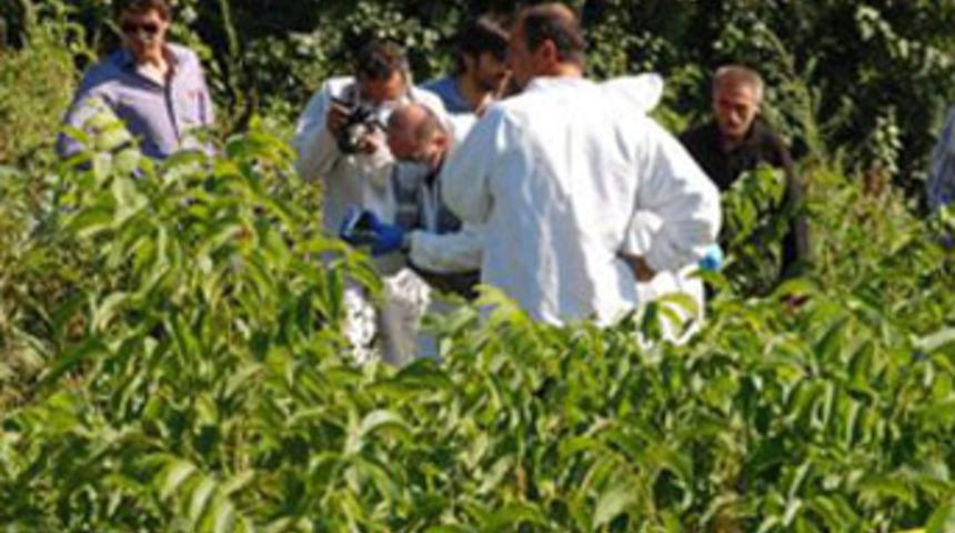 Tarlada &ccedil;&uuml;r&uuml;meye y&uuml;z tutmuş ceset buldu