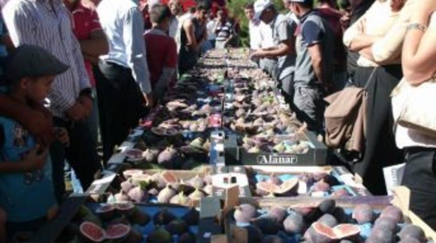 Osmangazi Belediyesi Siyah İnciri D&uuml;nyaya Tanıtmakta Kararlı