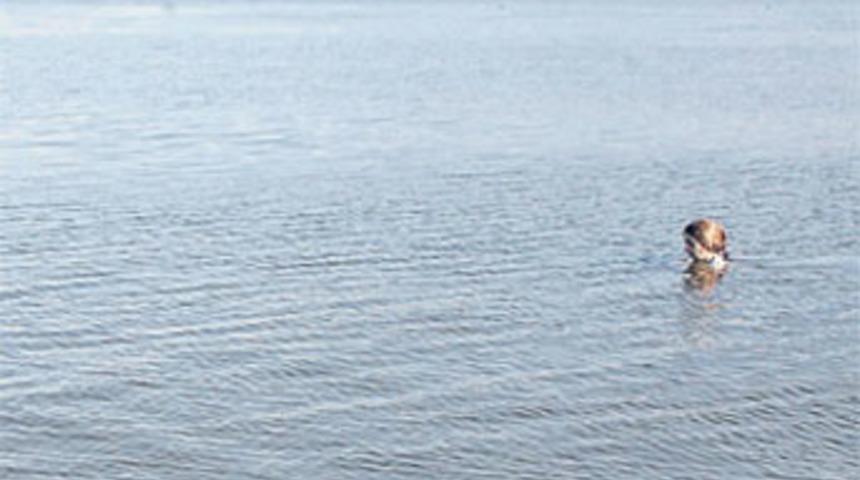 İntihar edecekti &ccedil;amura saplanıp kurtuldu