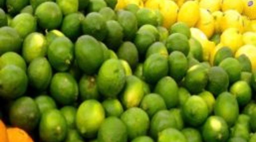 T&uuml;rkiye&rsquo;nin "narenciye T&uuml;ketim" Envanteri &Ccedil;ıkarılacak