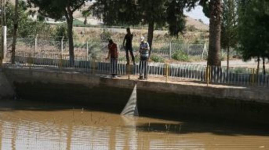 S&ouml;ğ&uuml;tl&uuml;dere Mesire Alanındaki G&ouml;lde Balık Tutma Keyfi