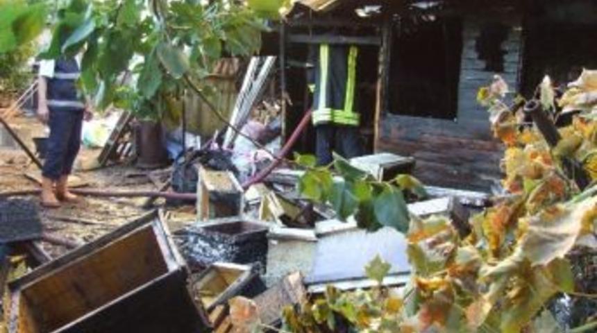 Arıya Kızdı, K&ouml;m&uuml;rl&uuml;ğ&uuml; Yaktı