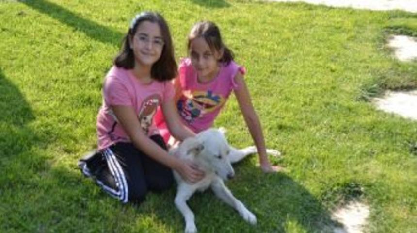 &Ccedil;ocukların Duyarlı Kampanyası Sonu&ccedil; Verdi