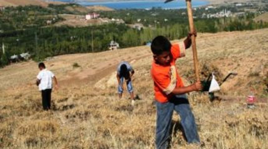 Artos Dağı Eteklerinde Kış Hazırlığı