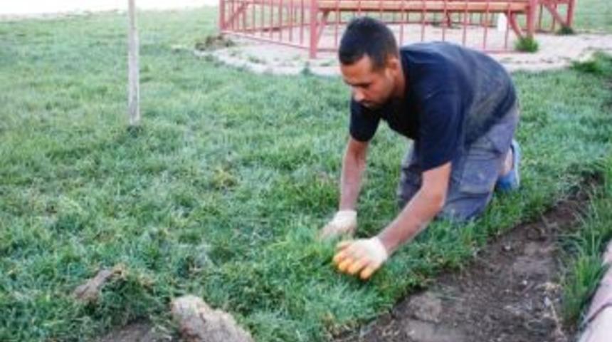 Melikgazi Refüjleri Yemyeşil