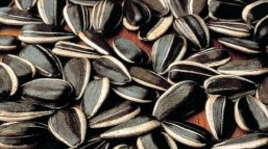 Ay &Ccedil;ekirdeği Kolesterol&uuml; D&uuml;ş&uuml;r&uuml;yor