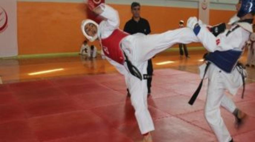 Ağrı- Iğdır Arası Taekwondo Dostluk Turnuvası