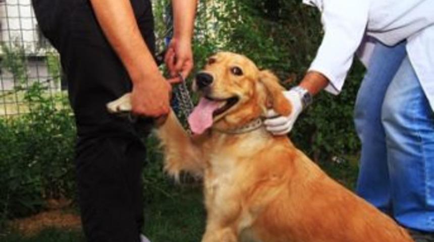 &Uuml;cretsiz aşı kampanyası