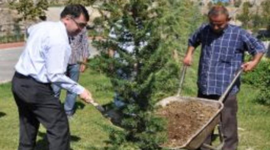 Keskin&rsquo;inde Sertifikalı Ağacı Oldu