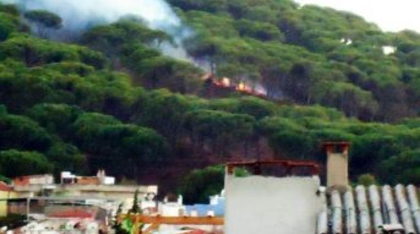 Ayvalık&rsquo;ta &Ccedil;ıkan Orman Yangını B&uuml;y&uuml;meden S&ouml;nd&uuml;r&uuml;ld&uuml;