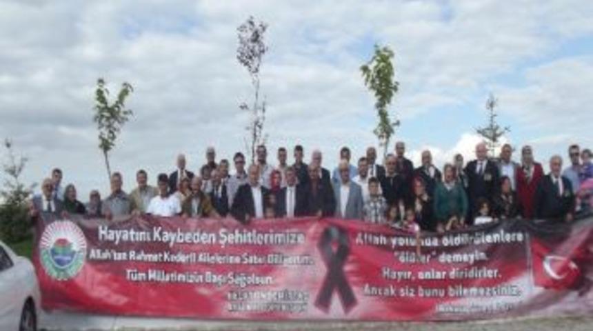 İlkadım Belediyesi'nden Şehit Yakınları Ve Gazilere Ladik Gezisi