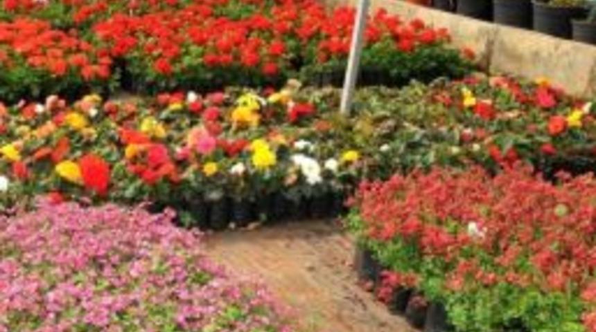 Yenişehir Fidanlığı Kışa Hazırlanıyor