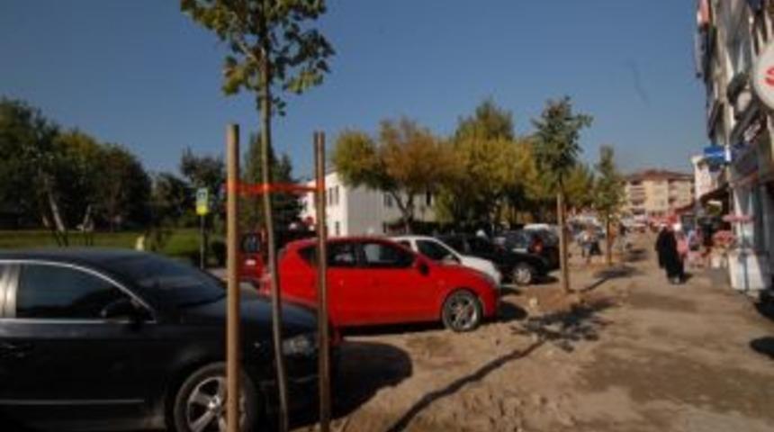 B&uuml;y&uuml;kşehir Belediyesi &Ccedil;evre D&uuml;zenleme &Ccedil;alışmalarını S&uuml;rd&uuml;r&uuml;yor