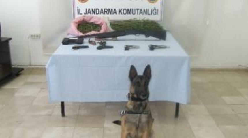 Jandarmadan Uyuşturucu Tacirlerine Y&ouml;nelik Operasyon