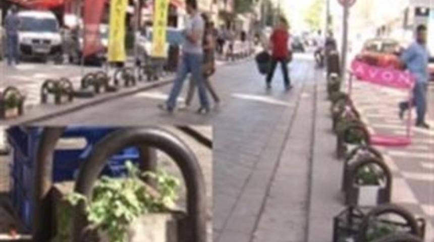 Saksıya Karpuz Ektiler