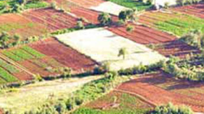 Silahların gölgesinde esrar tarlaları