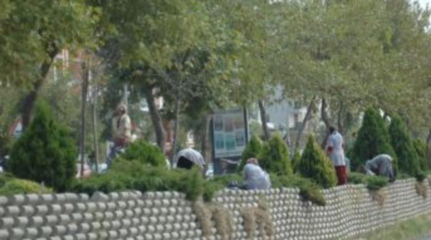 &Ccedil;orlu Belediyesi'nden &Ccedil;evre D&uuml;zenlemesi