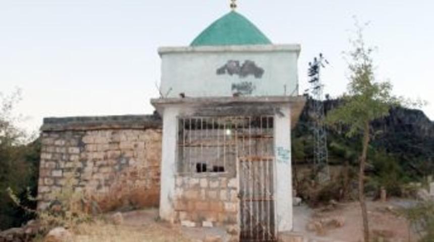 Şehy Zeydin T&uuml;rbesi İlgi Bekliyor