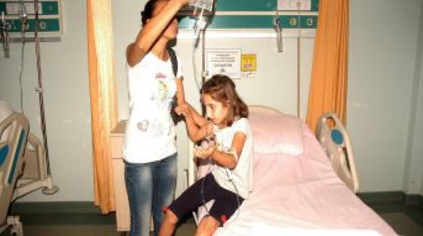 Tatarcık Sineğinin Isırdığı Mahalleli Hastanelere Akın Etti