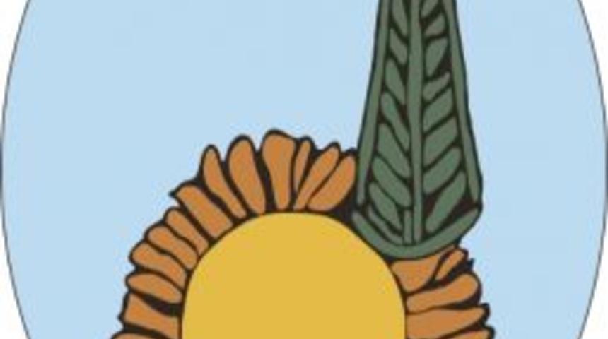 Birgi&rsquo;de İrimağzı İncir Hasadı Heyecanı