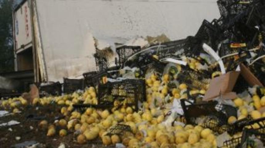 Tem Otoyolu Limon Bah&ccedil;esine D&ouml;nd&uuml;