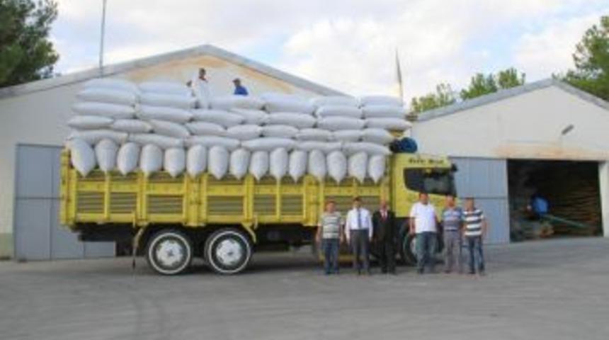 Osmancık TMO &Ccedil;eltik Alımına Başladı