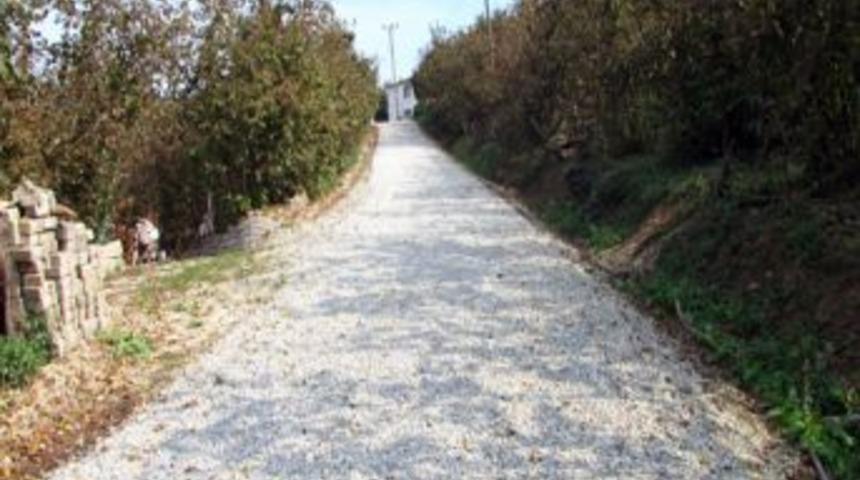 Ak&ccedil;akoca'da K&ouml;ydes &Ccedil;alışmaları S&uuml;r&uuml;yor