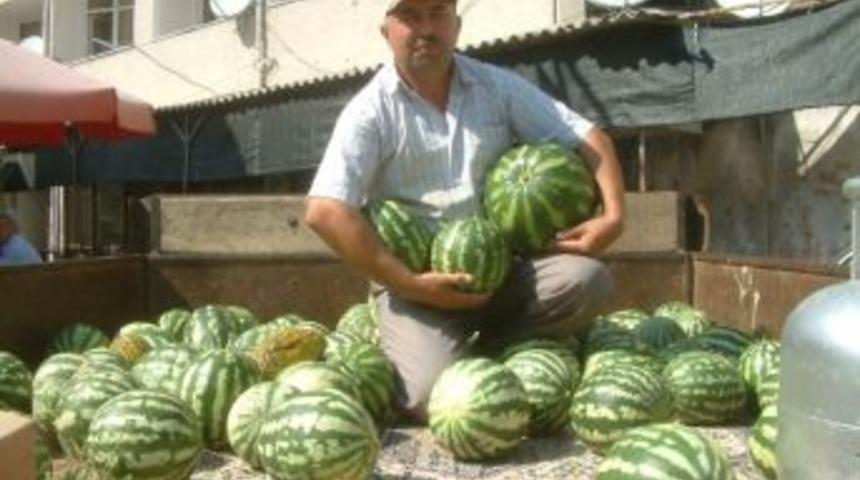 Burhaniye De G&uuml;z Karpuzu Kazandırdı