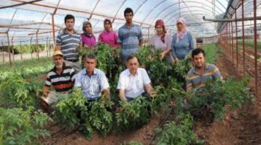 Kumluca&rsquo;da &Ccedil;ift&ccedil;i İsyan Etti