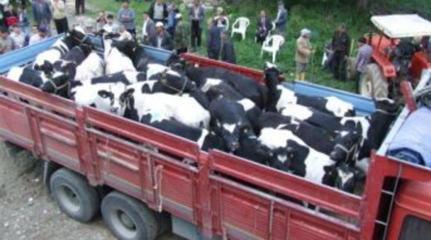 Kurban Bayramı &Ouml;ncesinde Kurbanlık Hayvan Sevki Yapacaklara Uyarı