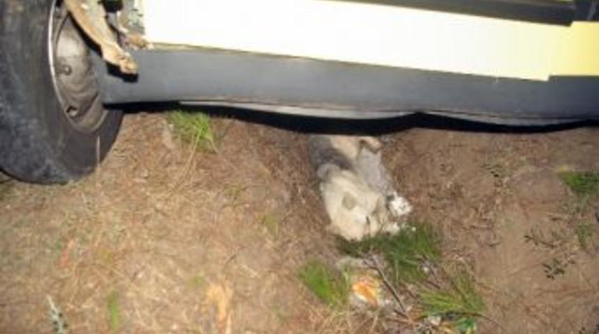 Osmancık'ta Trafik Kazası: 3 Yaralı