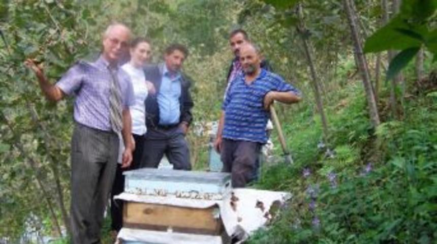 Arıcılara 'sonbahar' Uyarısı