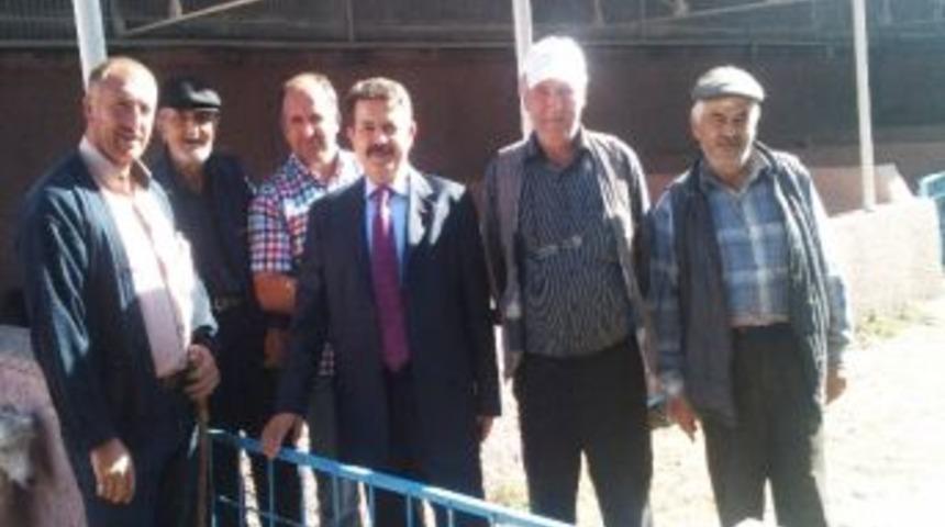 Başkan Berberoğlu Hayvan Pazarını İnceledi