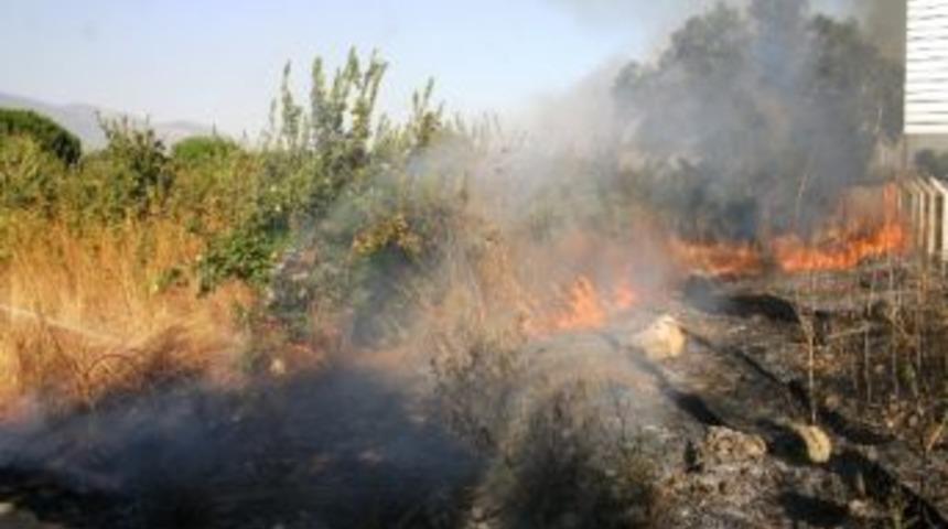 Kemalpaşa&rsquo;da Ot Yangını Korkuttu