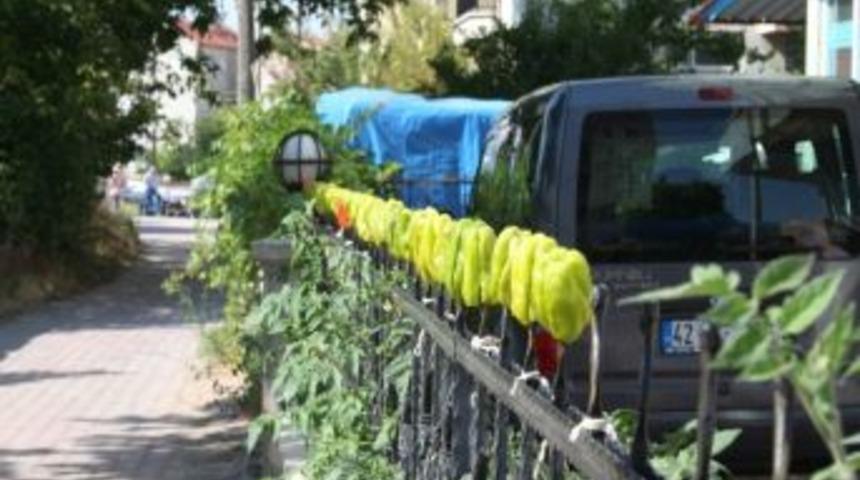 Demir Korkuluklarda Biber Kurutuyorlar