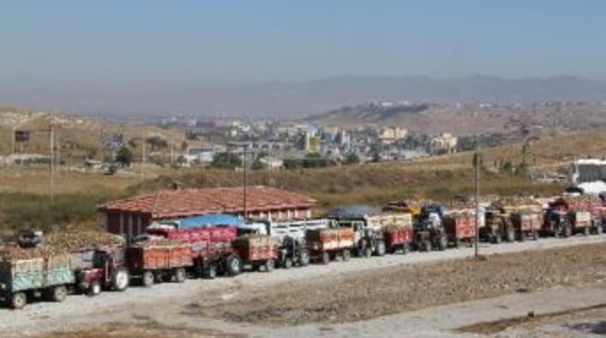 Çorum Şeker Fabrikası Pancar Üretim Sezonunu Açtı