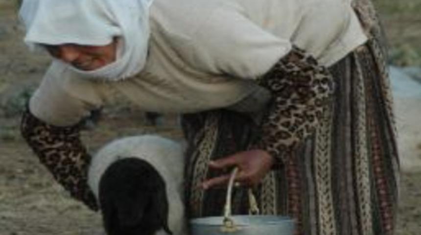 Bitlisli 'berivan'ların Zorlu M&uuml;cadelesi