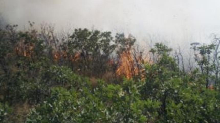 Arazi Yangınlarında Ge&ccedil;en Yıla Oranla D&uuml;ş&uuml;ş Yaşandı