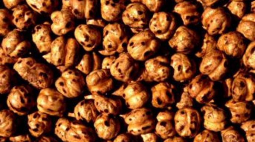 Leblebi g&ouml;r&uuml;c&uuml;ye &ccedil;ıktı