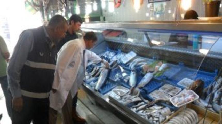 Gebze&rsquo;de Balık&ccedil;ılar Denetlendi