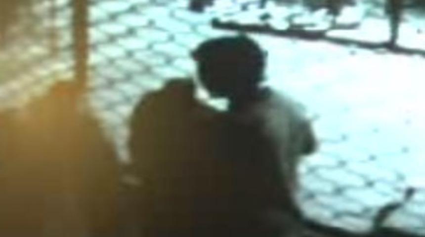 Mağazayı soydu, cansız mankenle sevişti