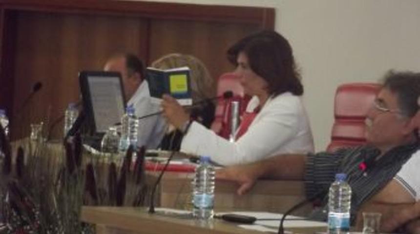 Aydın Koruma Ama&ccedil;lı İmar Planı Değişikliği Yapıldı